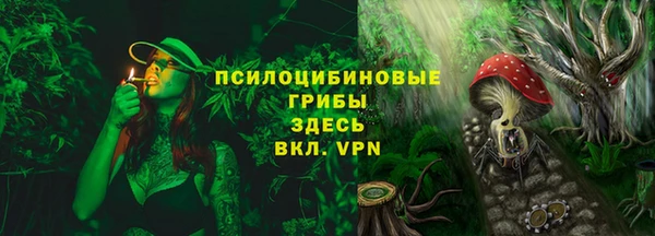 PSILOCYBIN Балабаново