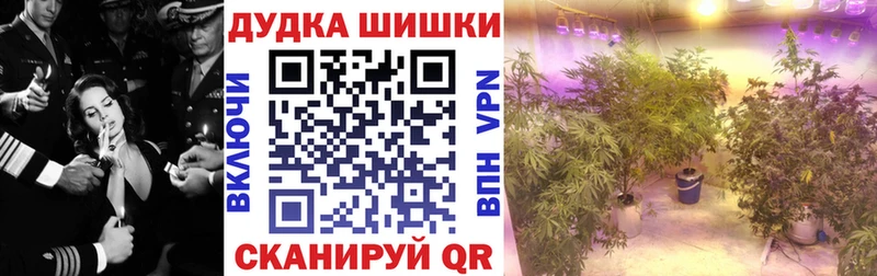 Бошки марихуана Amnesia  купить  сайты  Старая Купавна 